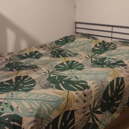 Pour Cure Et Ski Apartment *