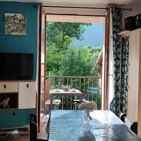 Pour Cure Et Ski Apartment *